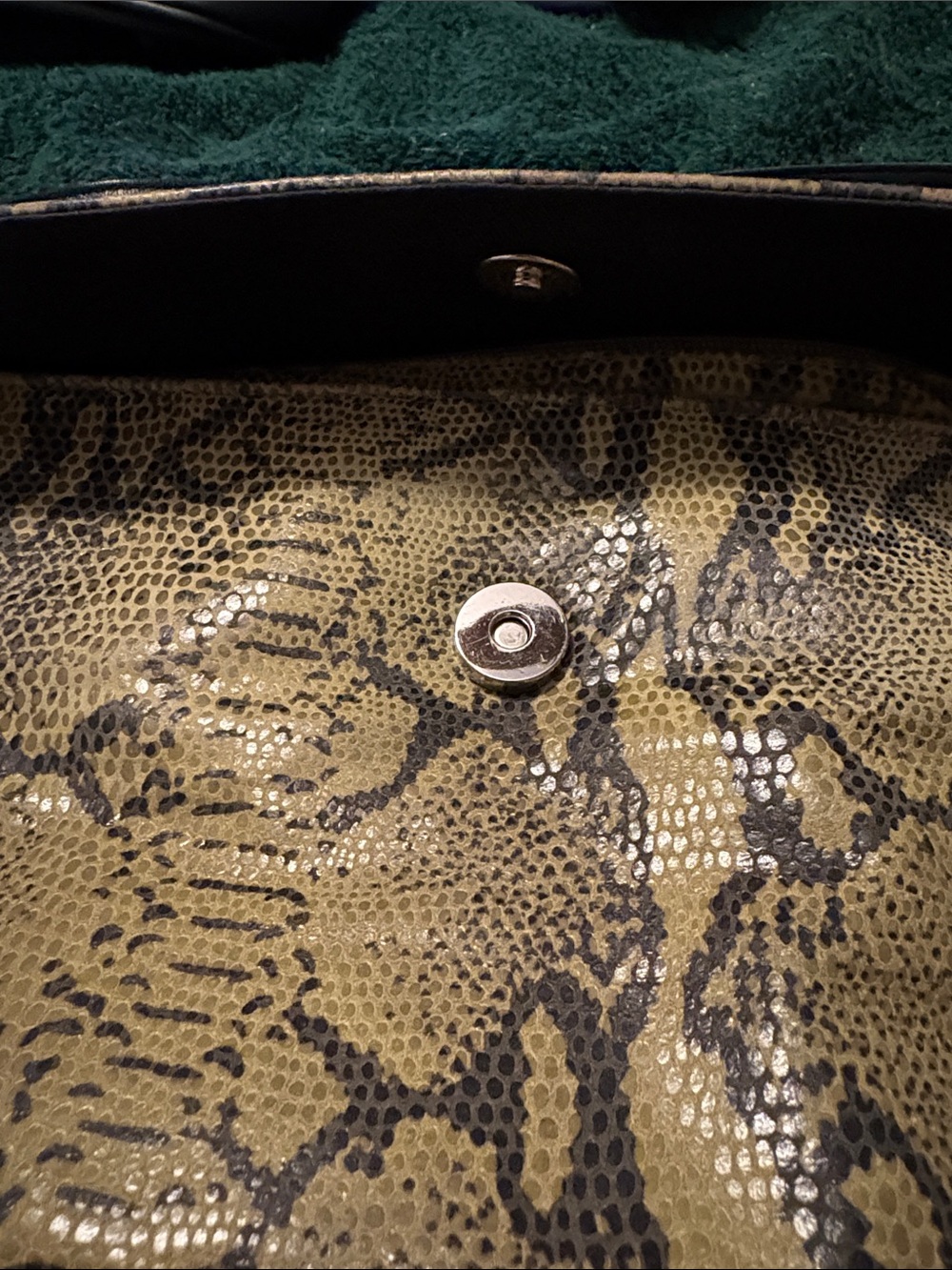 Maxx New York Snake-Print purse in Olive and Black - Picture 11 of 11